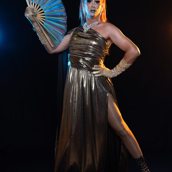 Drag Show - Tenue inspirée